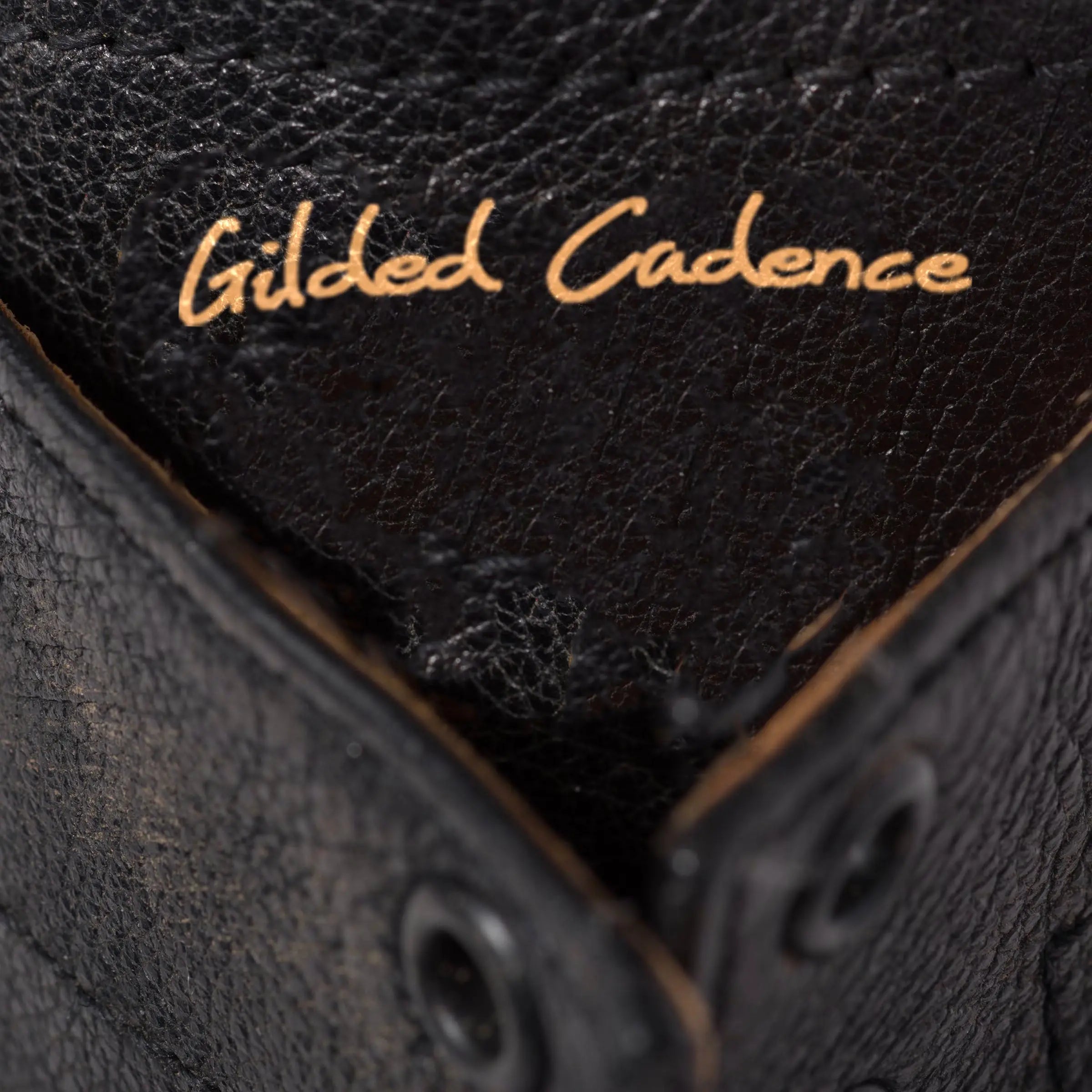 Leather laced booties Gilded Cadence