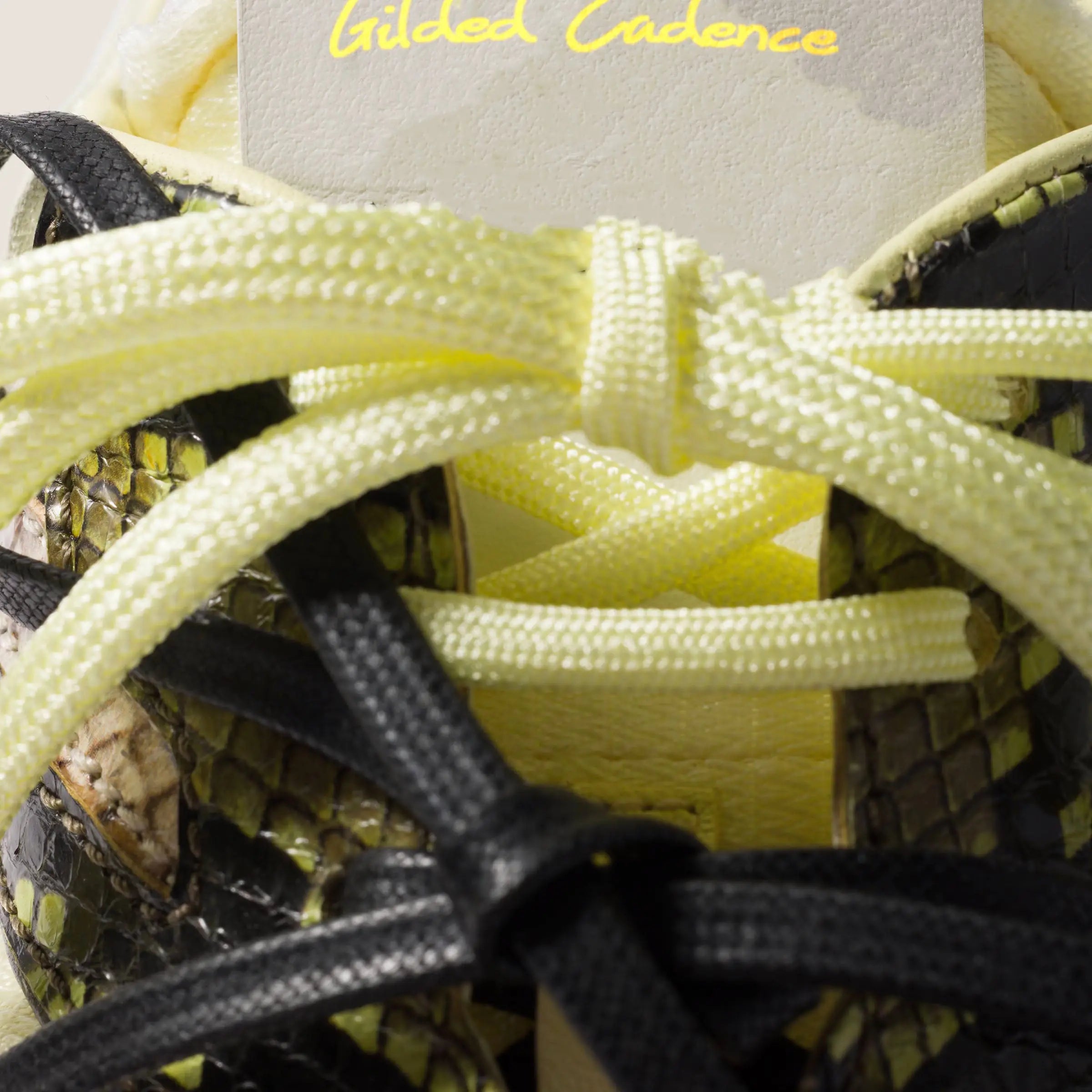 Gymnasium technical fabric and python-print Ayers leather sneakers Gilded Cadence
